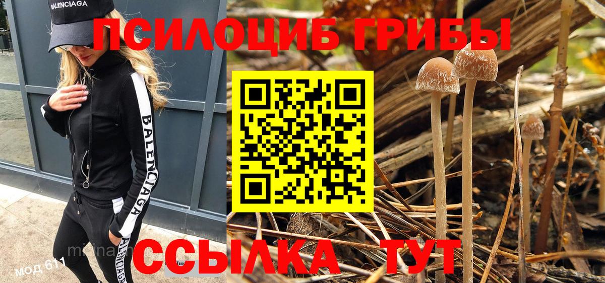 Галлюциногенные грибы Psilocybe Златоуст