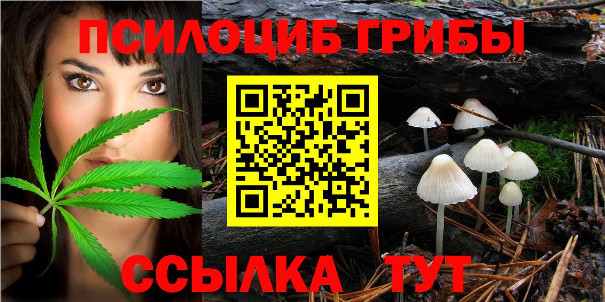 Псилоцибиновые грибы MAGIC MUSHROOMS  Вход с VPN  Псилоцибиновые грибы Cubensis  Златоуст 